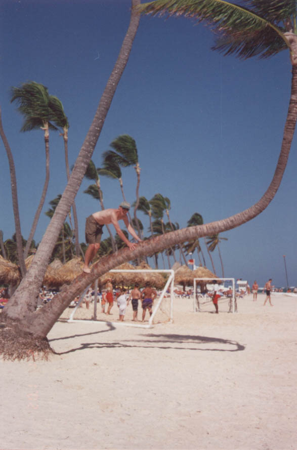 mikeInTree